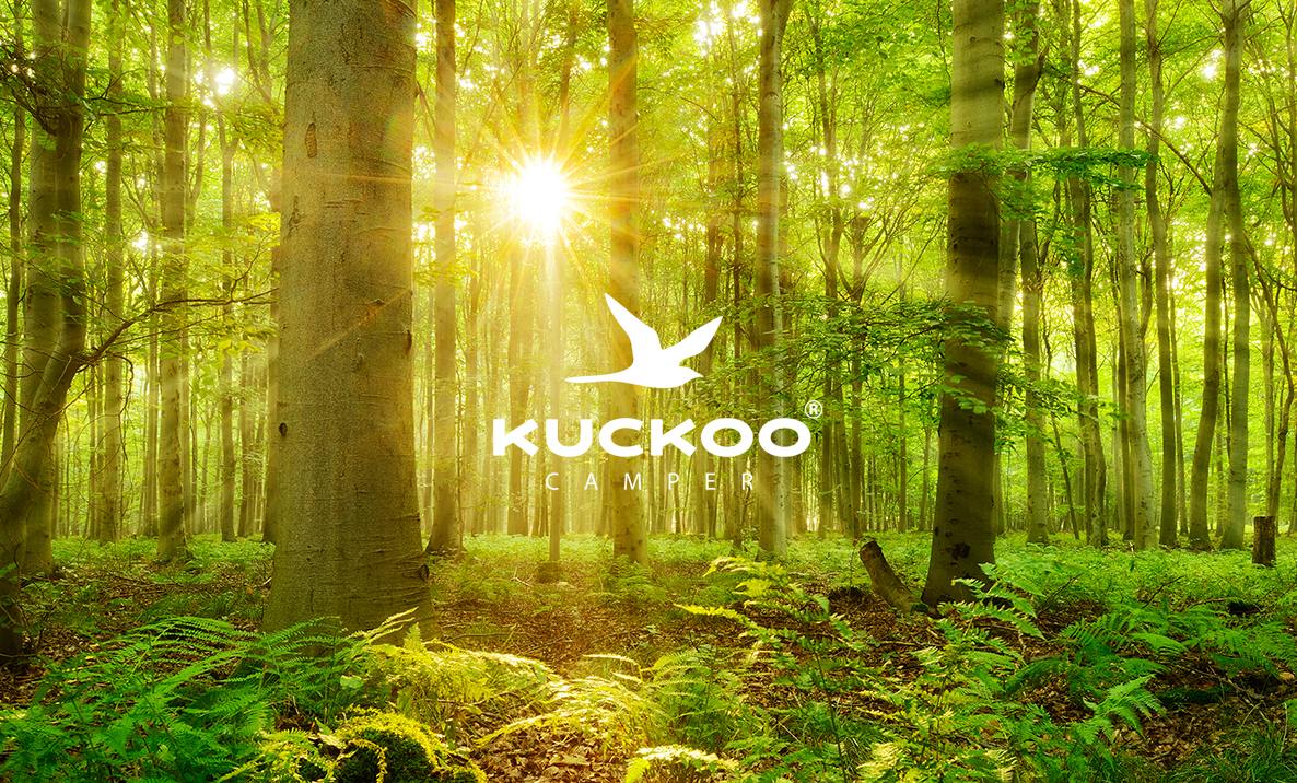 Wir geben etwas zurück - Waldbild mit Kuckoo-Logo als Symbol, dass für jeden Bruno 2 neue Bäume in eurem Namen gepflanzt werden